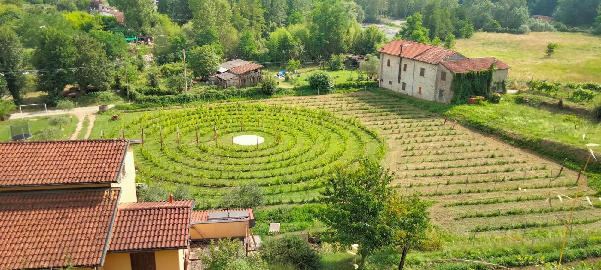 Agriturismo Il Poderetto Licciana Nardi Exterior foto